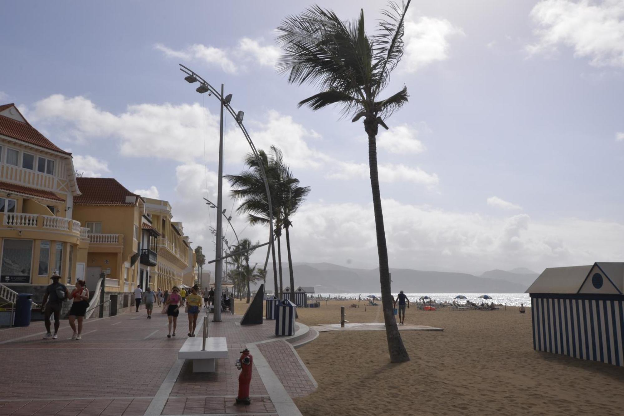 Apartamento Maralma *